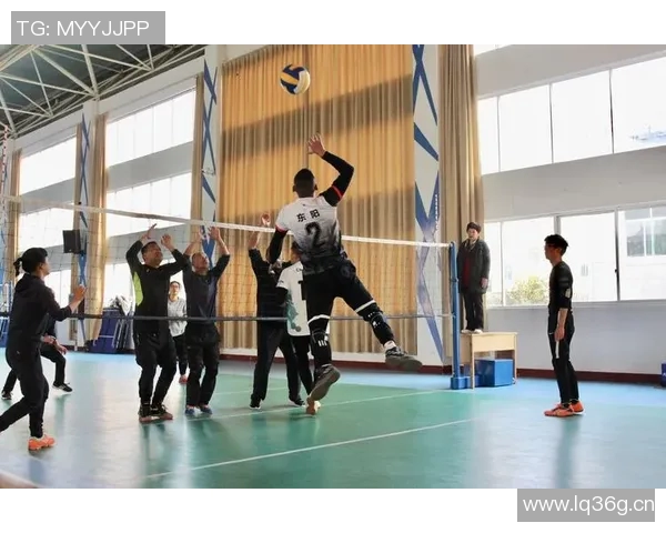 杨芳独家分享排球心得与技巧助你提升球技的秘诀与经验